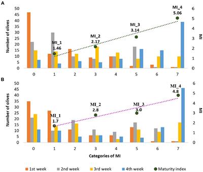 Valorization of monovarietal Nostrana di Brisighella extra virgin olive oils: focus on bioactive compounds